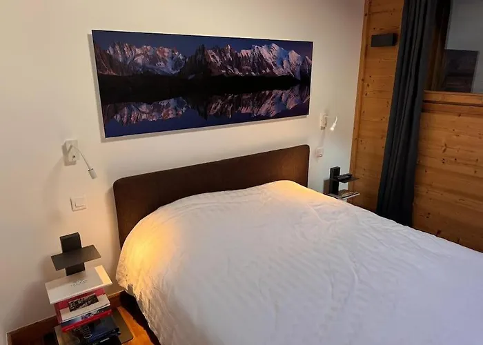 Chalet Superbe Vallee De Chamonix